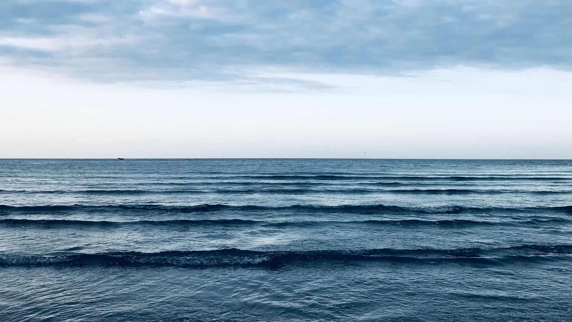 Waves horizon