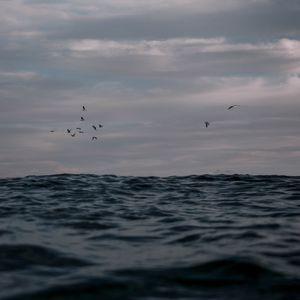 Preview wallpaper ocean, waves, water, birds
