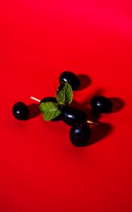 Preview wallpaper olives, berries, toothpick, red