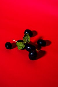 Preview wallpaper olives, berries, toothpick, red