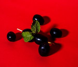 Preview wallpaper olives, berries, toothpick, red