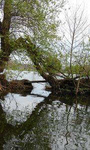 Preview wallpaper ond, trees, island, nature