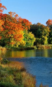 Preview wallpaper ontario, canada, trees, river, coast, autumn, current