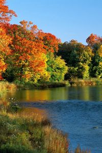 Preview wallpaper ontario, canada, trees, river, coast, autumn, current