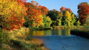 Preview wallpaper ontario, canada, trees, river, coast, autumn, current