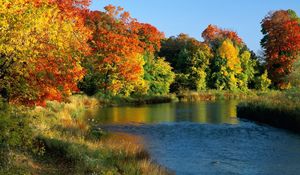 Preview wallpaper ontario, canada, trees, river, coast, autumn, current