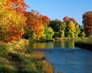 Preview wallpaper ontario, canada, trees, river, coast, autumn, current