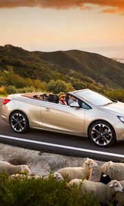 Preview wallpaper opel cascada, cars, sheep, road, sunset