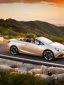 Preview wallpaper opel cascada, cars, sheep, road, sunset