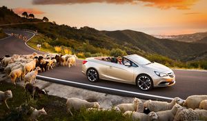 Preview wallpaper opel cascada, cars, sheep, road, sunset