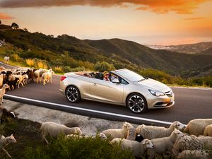 Preview wallpaper opel cascada, cars, sheep, road, sunset