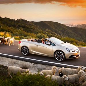 Preview wallpaper opel cascada, cars, sheep, road, sunset