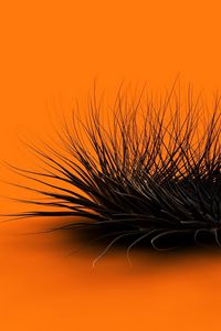 Preview wallpaper orange, black, feathers, form