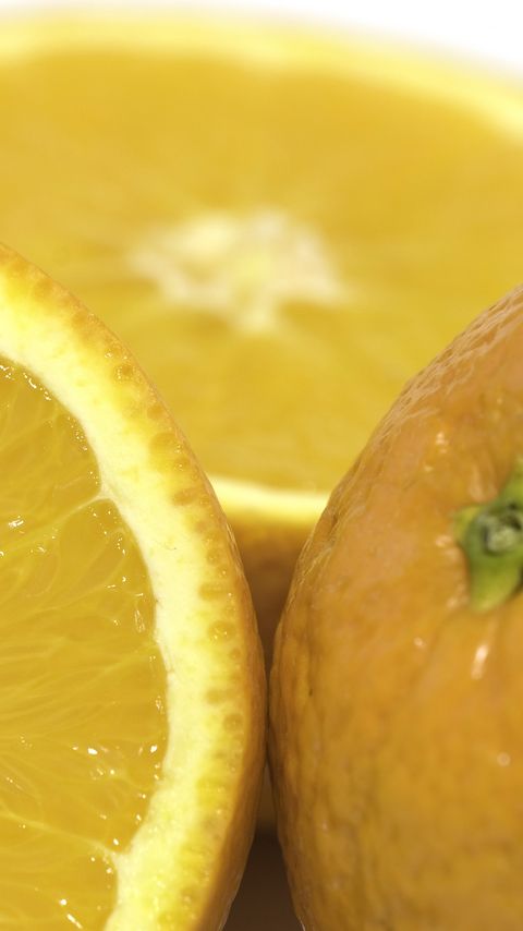 480x854 Wallpaper orange, citrus, fruit