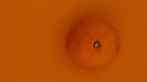 Preview wallpaper orange, fruit, background