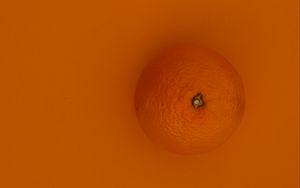Preview wallpaper orange, fruit, background