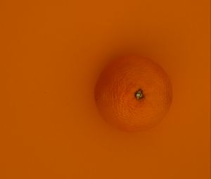 Preview wallpaper orange, fruit, background