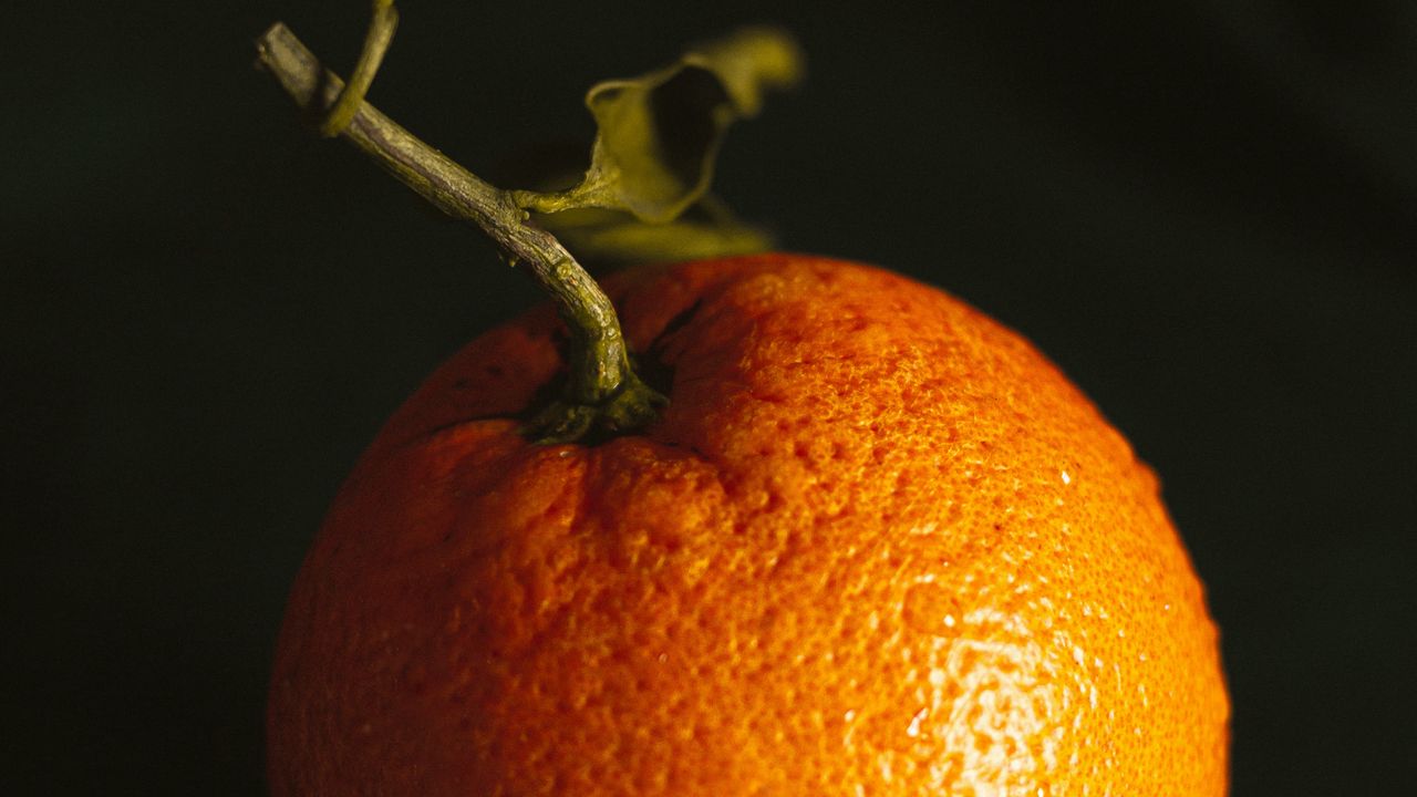 Wallpaper orange, fruit, citrus, wet