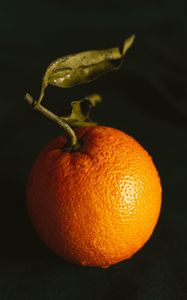 Preview wallpaper orange, fruit, citrus, wet