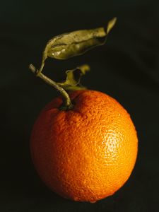 Preview wallpaper orange, fruit, citrus, wet