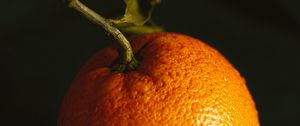 Preview wallpaper orange, fruit, citrus, wet