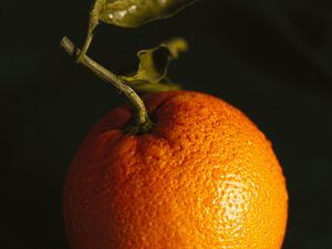 Preview wallpaper orange, fruit, citrus, wet