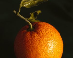 Preview wallpaper orange, fruit, citrus, wet