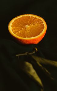 Preview wallpaper orange, fruit, citrus, ripe, juicy