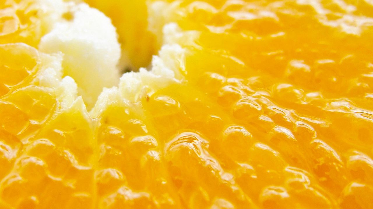 Wallpaper orange, fruit, macro, tasty