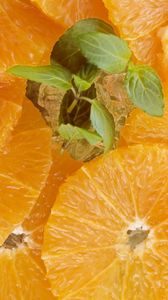 Preview wallpaper orange, peeled, ripe, citrus