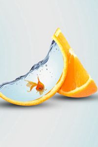 Preview wallpaper orange, slice, fish, water