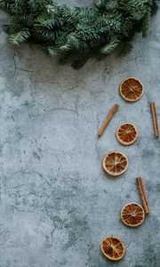 Preview wallpaper orange, slices, cinnamon, branches, spruce