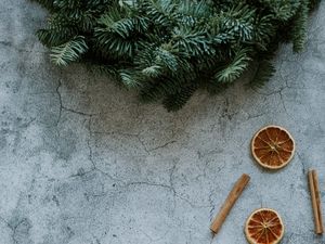 Preview wallpaper orange, slices, cinnamon, branches, spruce