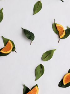 Preview wallpaper orange, slices, leaves, citrus