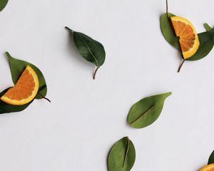 Preview wallpaper orange, slices, leaves, citrus