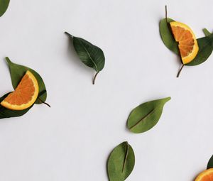 Preview wallpaper orange, slices, leaves, citrus