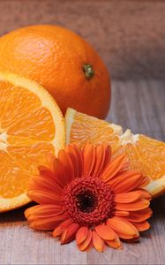 Preview wallpaper oranges, fruit, citrus, flower