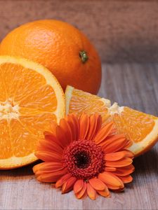 Preview wallpaper oranges, fruit, citrus, flower