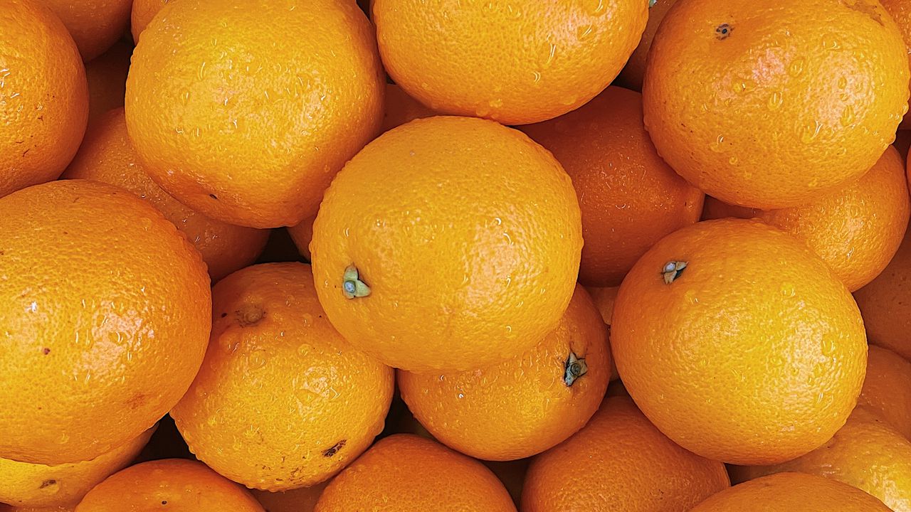 Wallpaper oranges, fruits, citrus, orange, wet