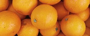 Preview wallpaper oranges, fruits, citrus, orange, wet