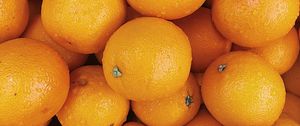 Preview wallpaper oranges, fruits, citrus, orange, wet