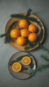 Preview wallpaper oranges, fruits, citrus, branches, spices