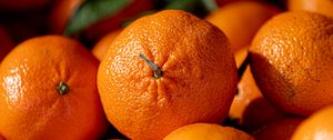 Preview wallpaper oranges, fruits, citrus, ripe