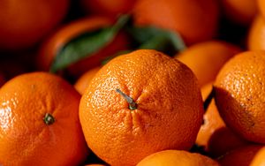 Preview wallpaper oranges, fruits, citrus, ripe
