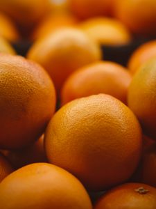 Preview wallpaper oranges, fruits, orange, citrus