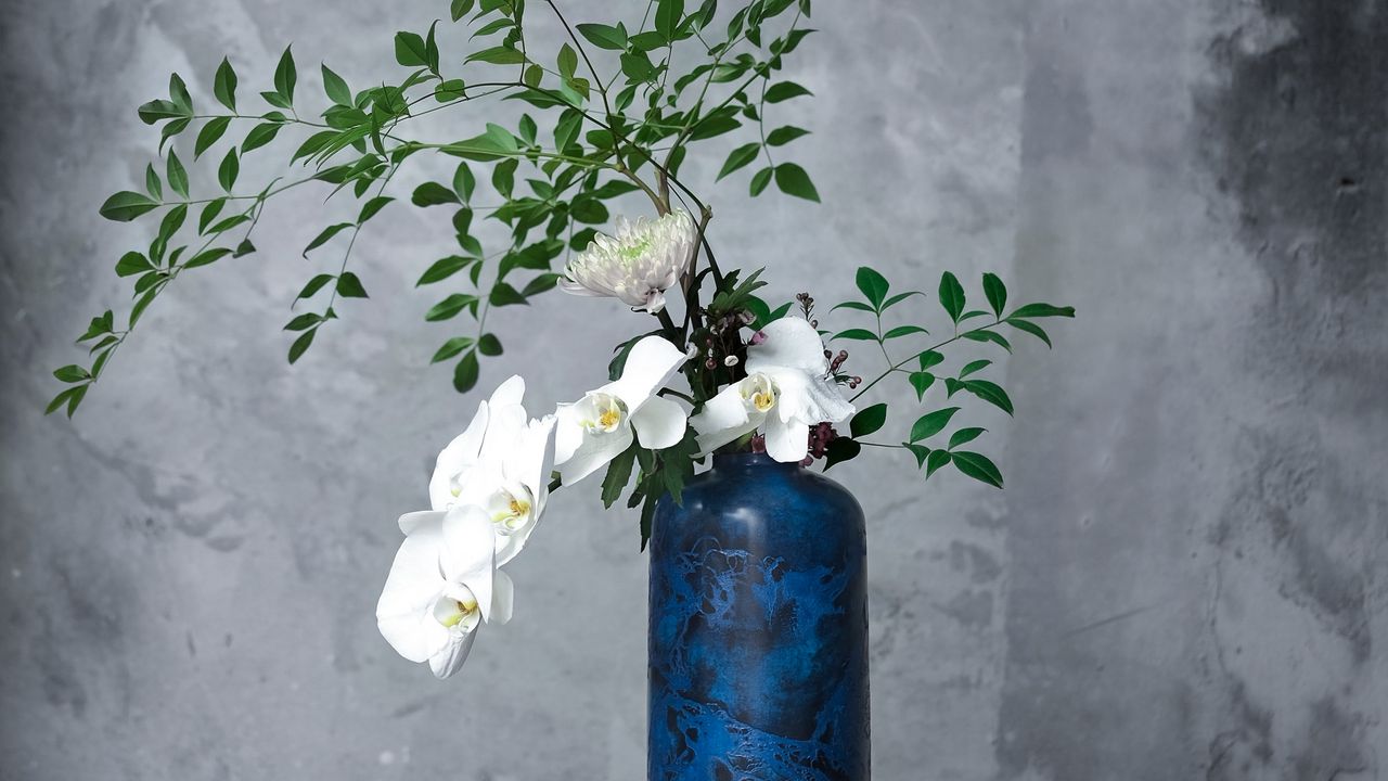 Wallpaper orchid, bouquet, vase, flowers, room