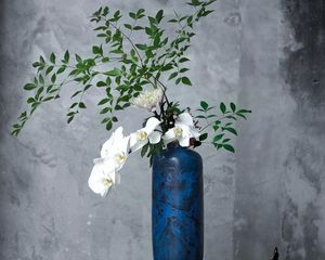 Preview wallpaper orchid, bouquet, vase, flowers, room