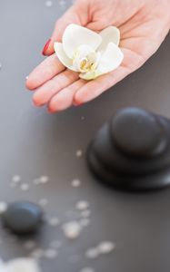 Preview wallpaper orchid, flower, hand, stone, aesthetics