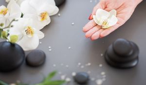 Preview wallpaper orchid, flower, hand, stone, aesthetics