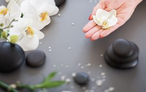 Preview wallpaper orchid, flower, hand, stone, aesthetics